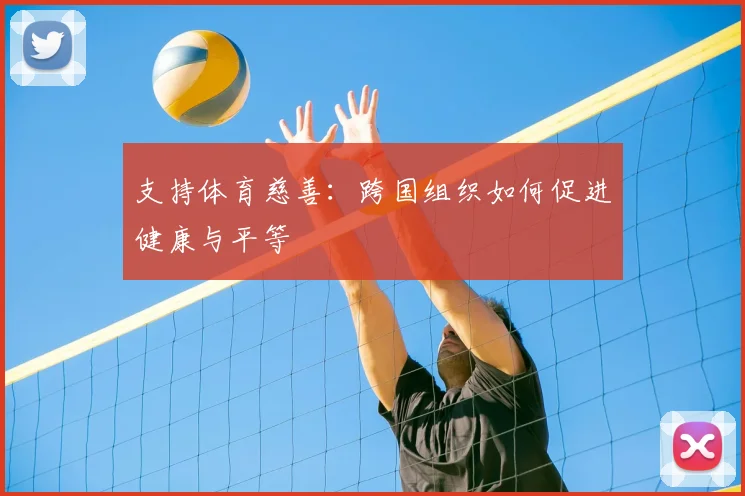 支持体育慈善：跨国组织如何促进健康与平等